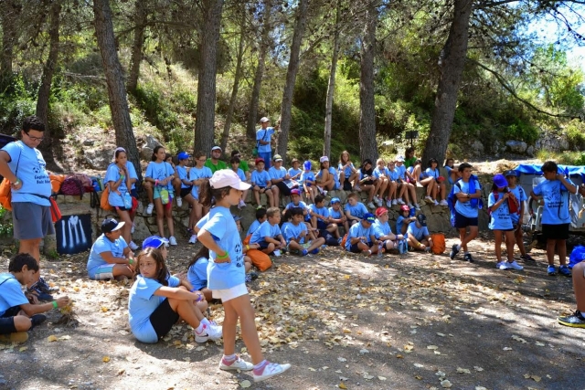 Grupo descansando entre los arboles